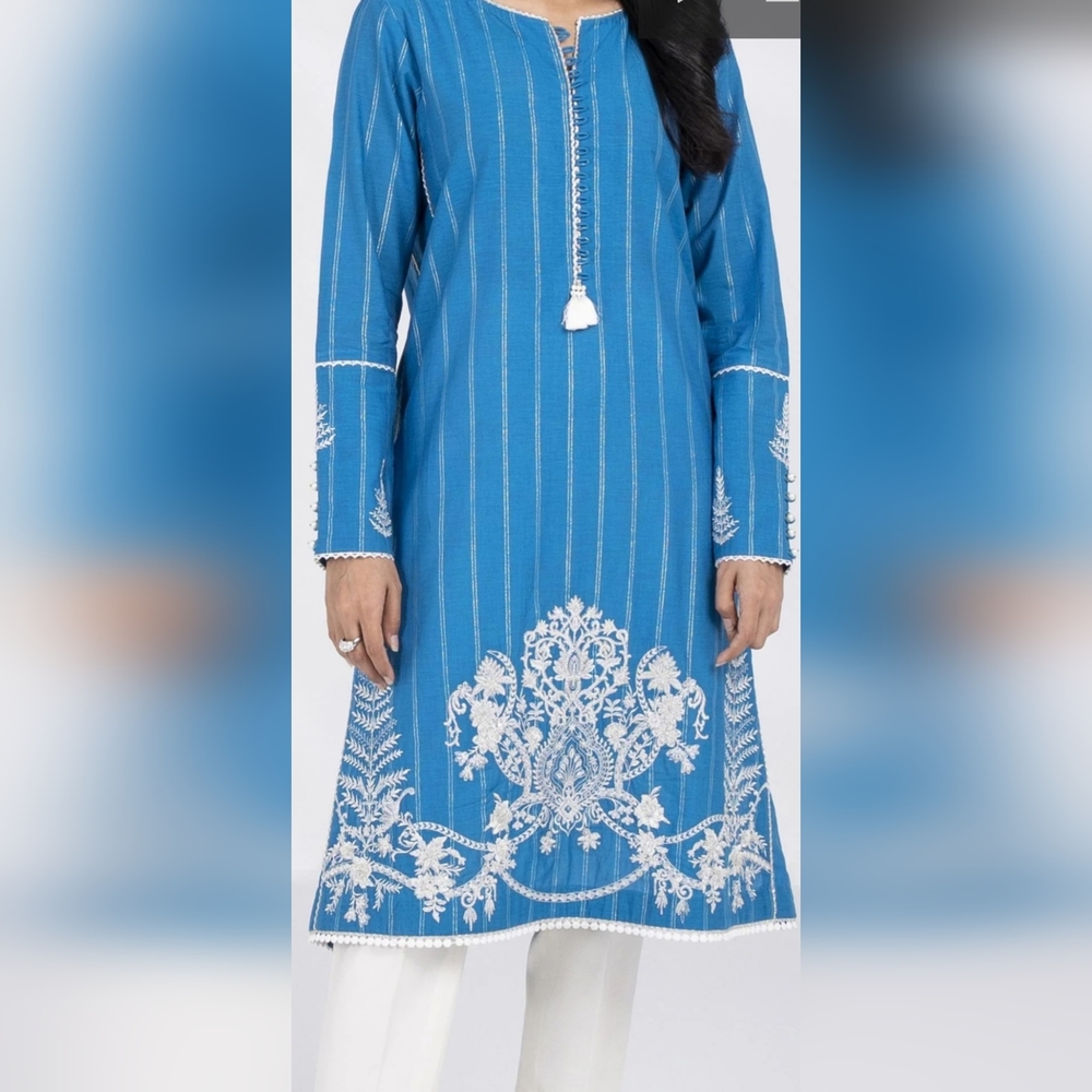 Pakistani designer kurti.